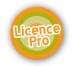 logo licence pro